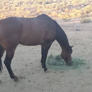 Meet your Posher, Cyndi